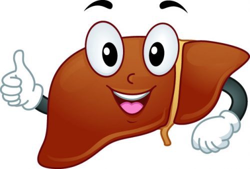eliminate - happy liver - brendawatson.com