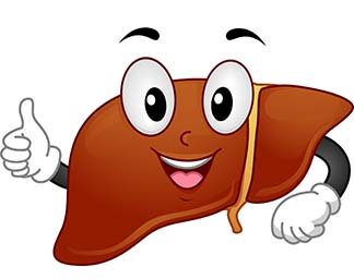 BFF – Your Liver!