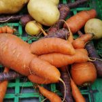 Fall for Ugly Veggies!